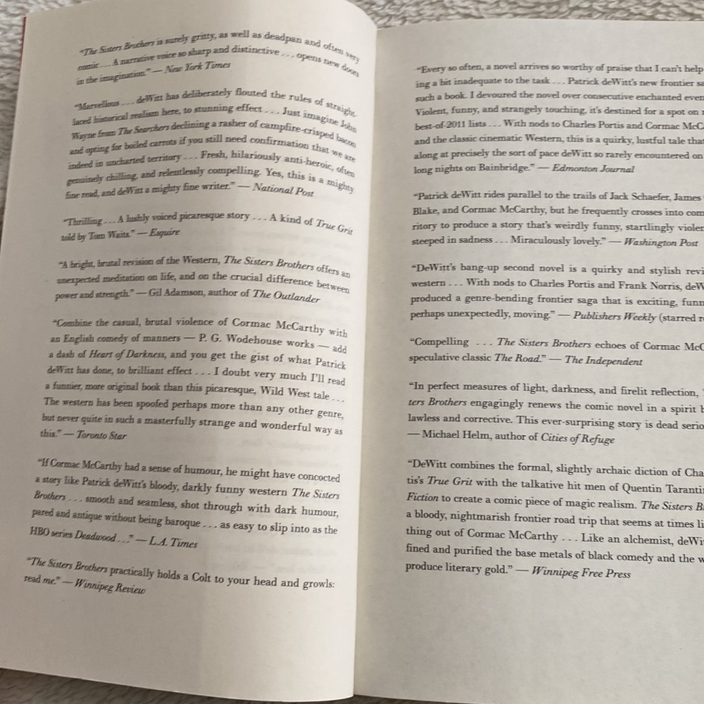 The Sisters Brothers novel by Patrick DeWitt trade paperback 2011 - Picture 5 of 5